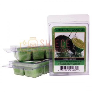 Cheerful Candle Citrus Burst Wosk