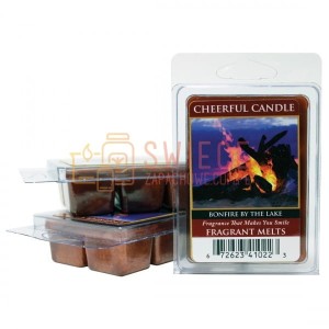 Cheerful Candle Bonfire by the Lake Wosk