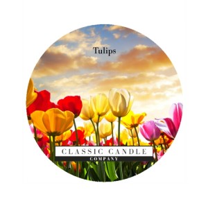 Classic Candle TULIPS  MiniLight