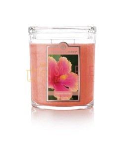 Colonial Candle Large Jar TROPICAL NECTAR