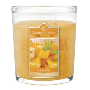 Colonial Candle Large Jar Mango Salsa