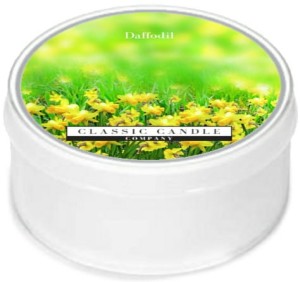 Classic Candle DAFFODIL MiniLight