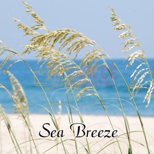 Milkhouse Candles SEA BREEZE Wosk