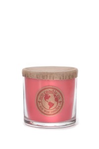 Eco Candle Co. APPLE ORCHARD Świeca Mała