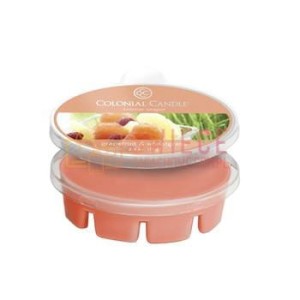 Colonial Candle Simmer Snaps GRAPEFRUIT & WHEATGRS