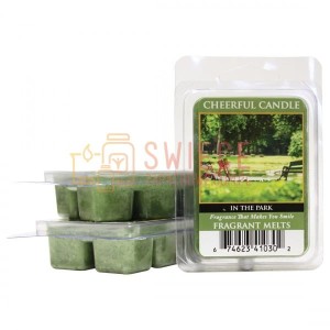 Cheerful Candle In The Park Wosk