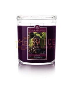Colonial Candle Large Jar MULBERRY