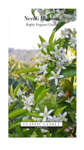 Classic Candle NEROLI BLOSSOM 2 Wick Large Jar