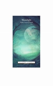 Classic Candle MOONLIGHT 2 Wick Large Jar