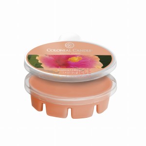 Colonial Candle Simmer Snaps TROPICAL NECTAR