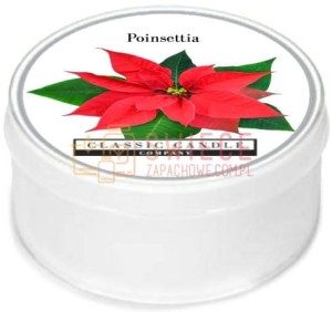 Classic Candle POINSETTIA MiniLight