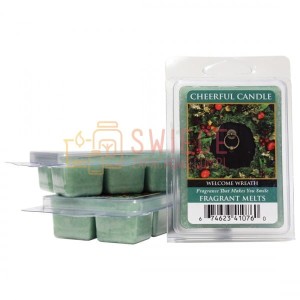 Cheerful Candle Welcome Wreath Wosk