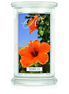 Kringle Candle Hibiscus Large 2 Wick Classic Hibiskus