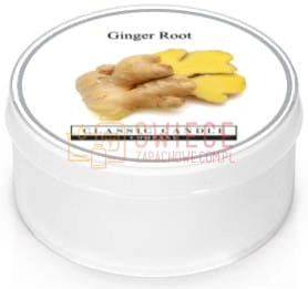 Classic Candle GINGER ROOT SPICE RANGE MiniLight