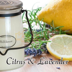 Milkhouse Candles CITRUS & LAVENDER Świeca Duża