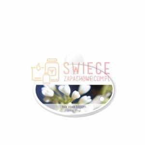 Colonial Candle Simmer Snaps TEA OLIVE BLOOM