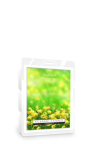 Wax Melt Daffodil.jpg