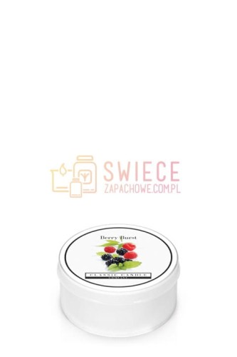 40d43d9058c91a33e60bfc8c3f7a675c