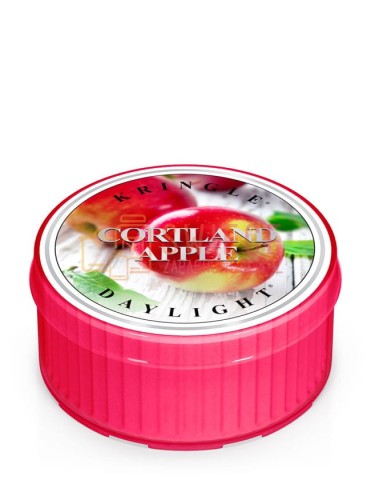 61471e7cf974b2f3e2f00e286488013b