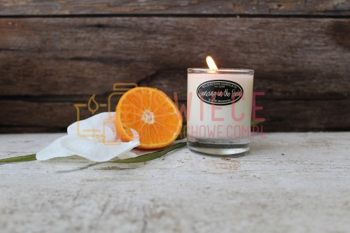 bea085991167ca10c4e0cc9a2aaeb198