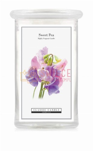 e7d24db942067cfe4c8f6feb8e267861