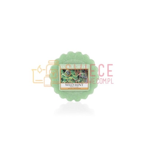 354ed98e606b9cc0b654584a9f120fa2