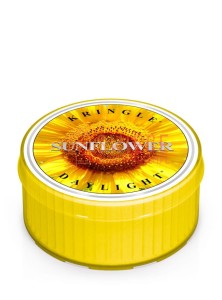 Kringle Candle Sunflower Sunrise Coloured DayLights Słonecznik