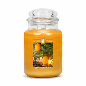 Goose Creek Candle ORANGE GROVE TREE Świeca Duża 