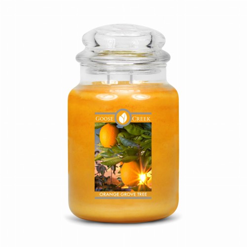 Orange-Grove-Tree.jpg