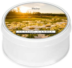 Classic Candle DAISY MiniLight