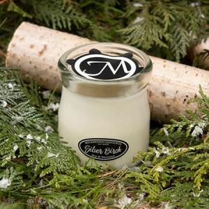 Milkhouse Candles SILVER BIRCH Cream Jar