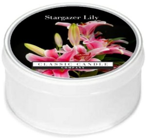 Classic Candle STARGAZER LILY MiniLight