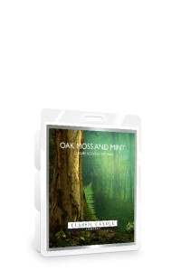 Classic Candle OAK MOSS AND MINT SOY Wosk