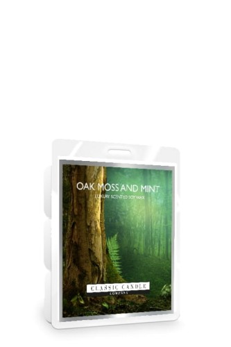 Soy Oak Moss and Mint.jpg