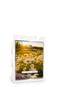 Classic Candle DAISY SOY Wosk