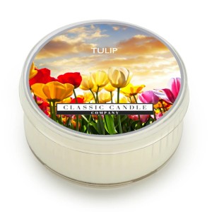 Classic Candle TULIP SOY MiniLight