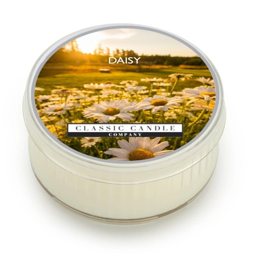 Soy Daisy.jpg
