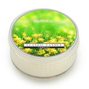 Classic Candle DAFFODIL SOY MiniLight