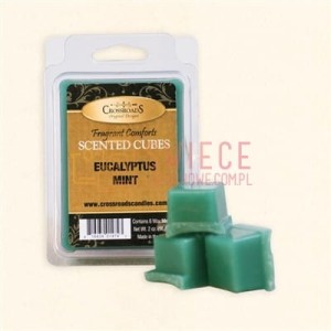 CrossroadS Eucalyptus Mint Wosk