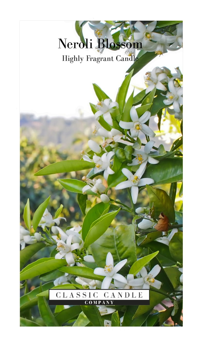 Neroli Blossom 2 Wick Version 2.jpg