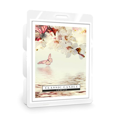 Divine.jpg