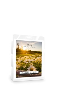 OUTLET Classic Candle DAISY Wax Melt