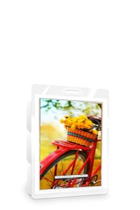 OUTLET Classic Candle SUMMER DREAMS Wax Melt
