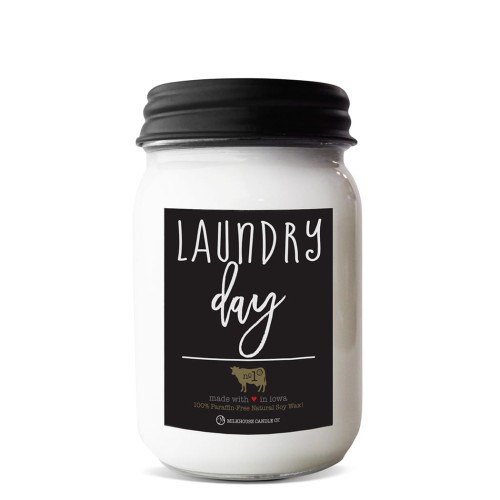 Laundry Day 13oz Mason Jar White BKG.jpg