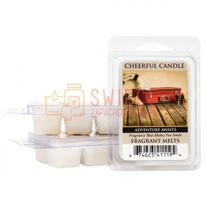 Cheerful Candle ADVENTURE AWAITS Wosk