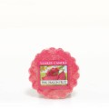 Pink Dragon Fruit