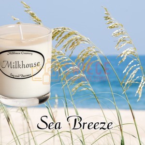 Milkhouse Candles SEA BREEZE Shot