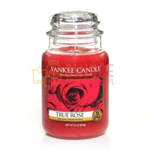 Yankee Candle True Rose Słoik Duży
