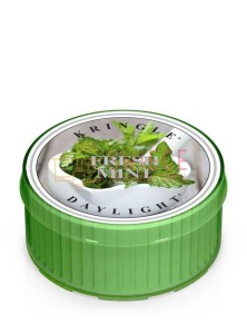 Kringle Candle Fresh Mint Coloured DayLights Potpourri Świeża Mięta