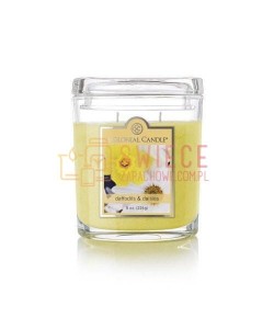 Colonial Candle Medium Jar DAFFODILS AND DAISES